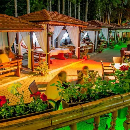 Hotel Park Bachinovo
