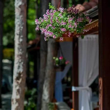 Hotel Park Bachinovo